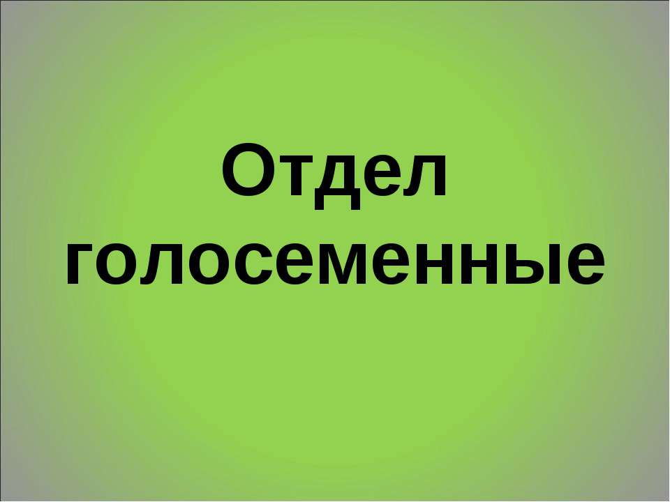 Отдел голосеменные 6 класс