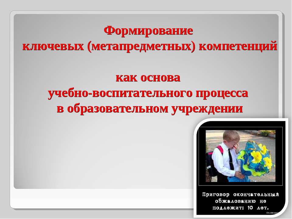 Формирование ключевых (метапредметных) компетенций как основа учебно-воспитательного процесса в образовательном учреждении