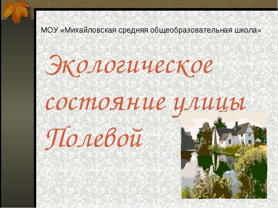 Экологическое состояние улицы Полевой