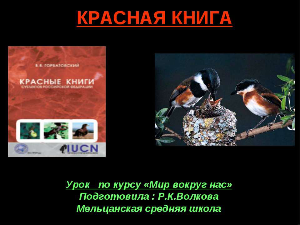 Красная книга