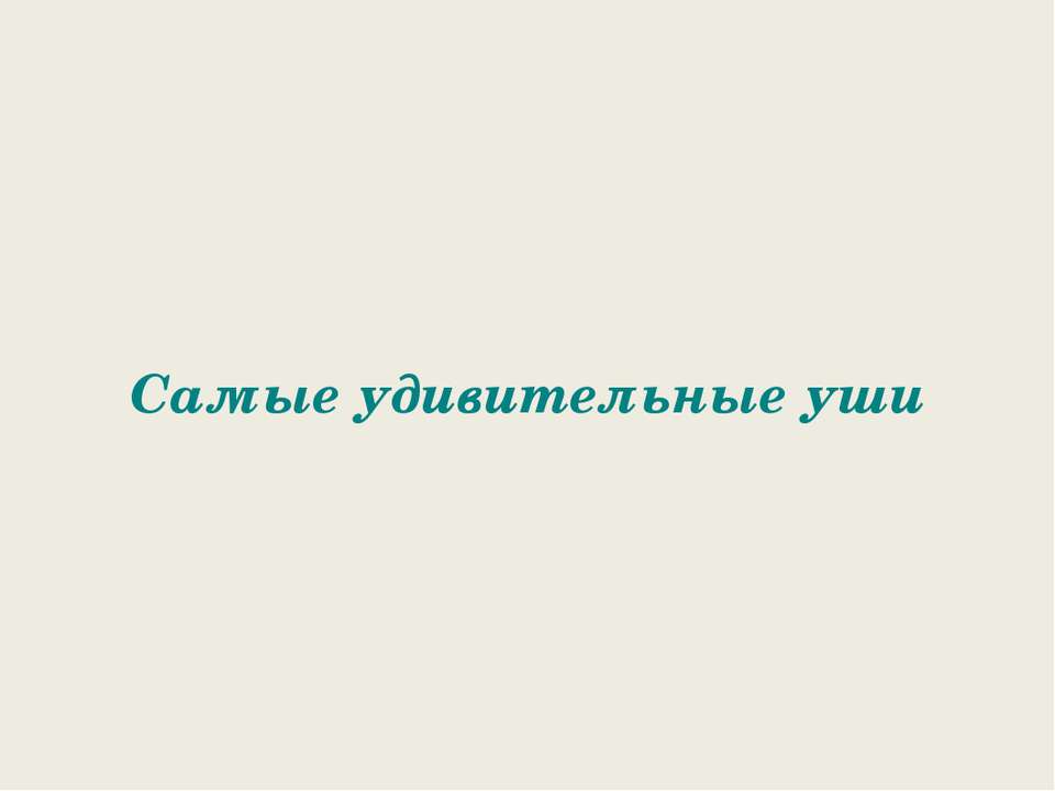 Самые удивительные уши