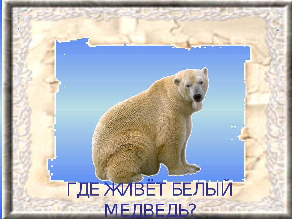 Где живёт белый медведь?