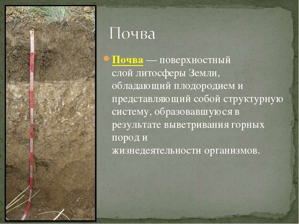 Почва