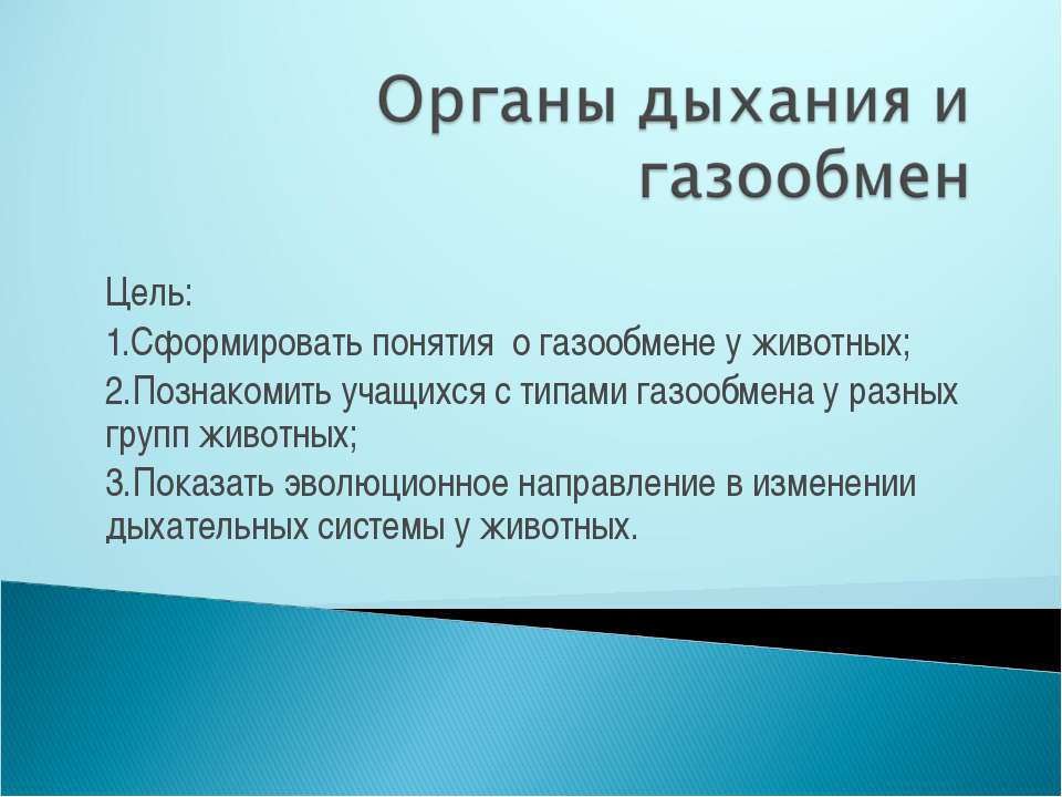 Органы дыхания и газообмен