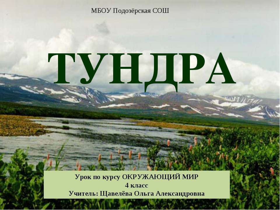 Тундра 4 класс