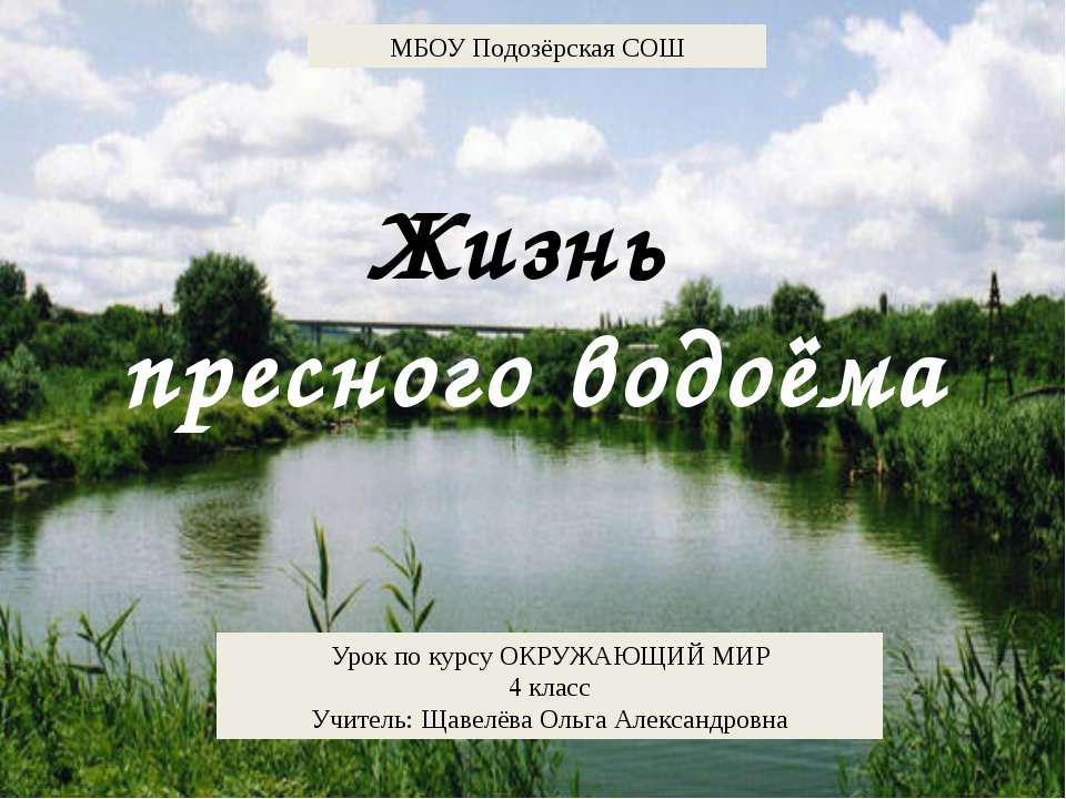 Жизнь пресного водоема 4 класс