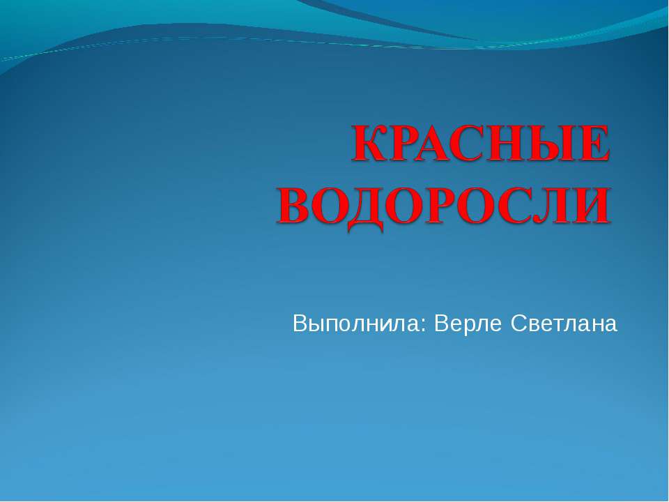 Красные водоросли