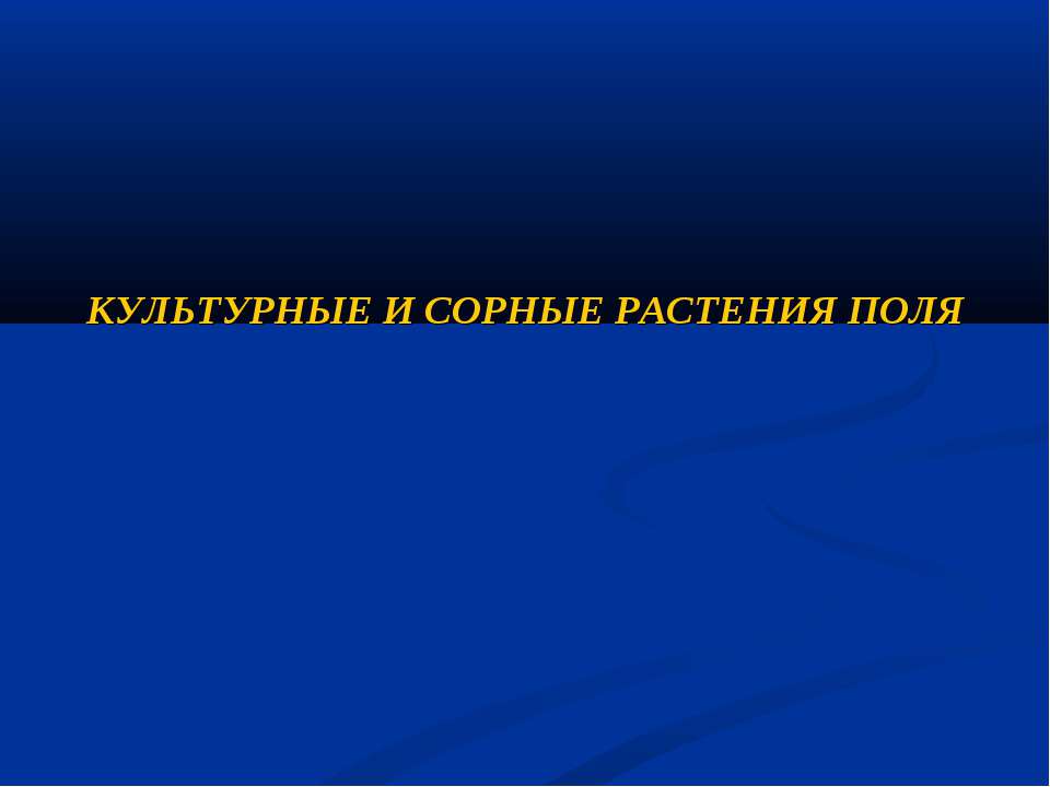 Культурные и сорные растения поля