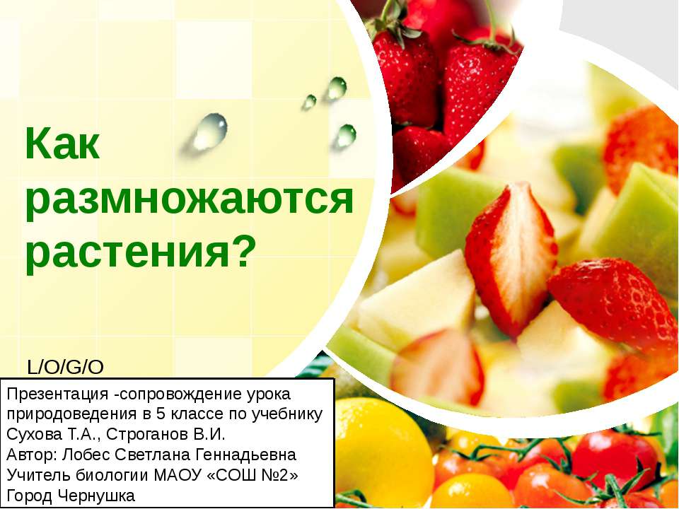 Как размножаются растения