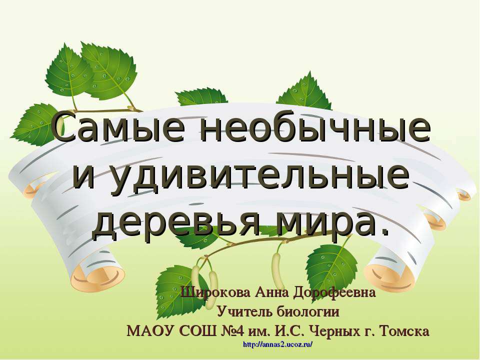 Самые удивительные и необычные деревья мира