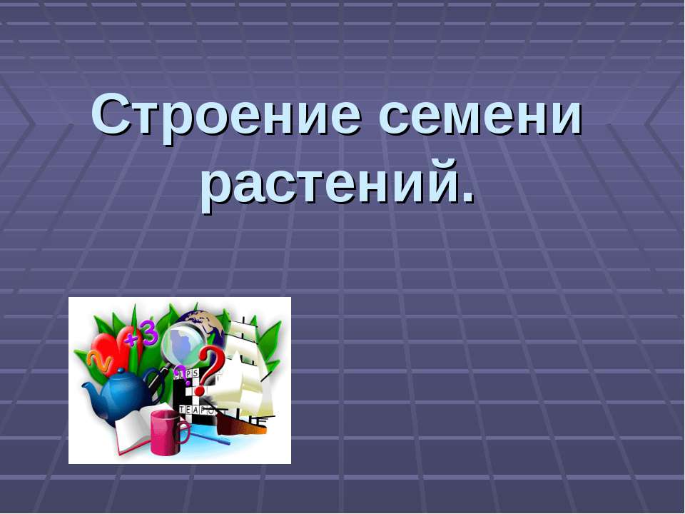 Строение семени растений