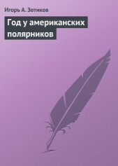 Год у американских полярников
