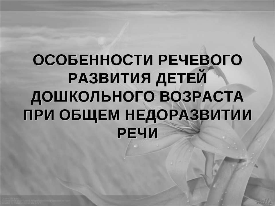 Особенности речевого развития детей дошкольного возраста при общем недоразвитии речи