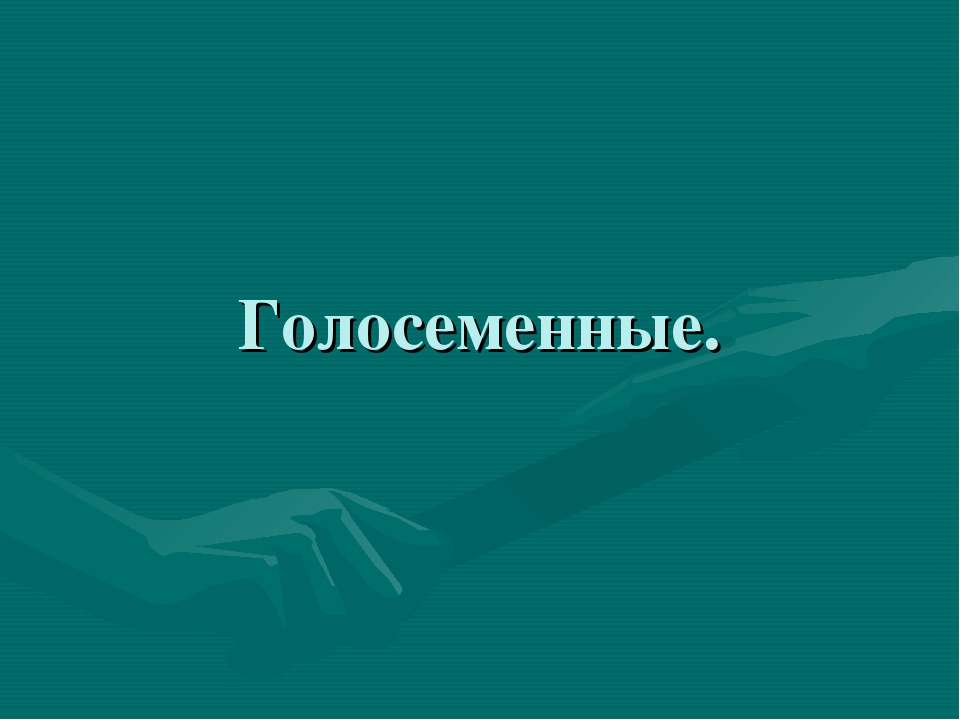 голосеменные