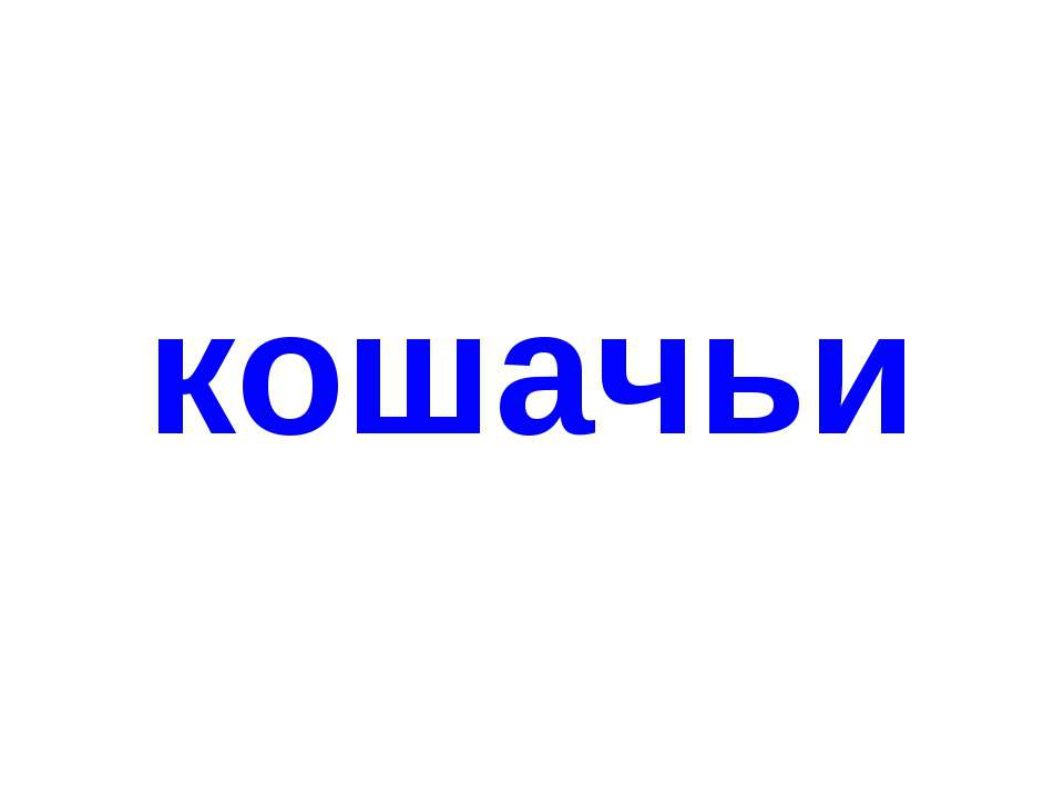 Кошачьи