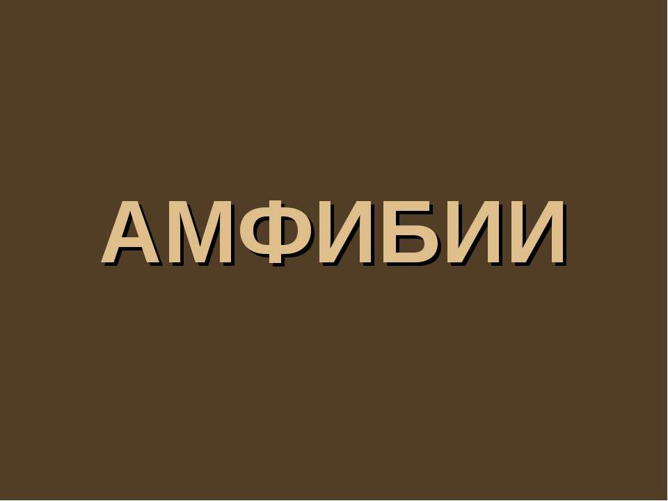 Амфибии