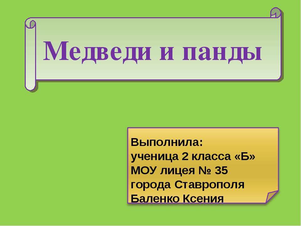 Медведи и панды