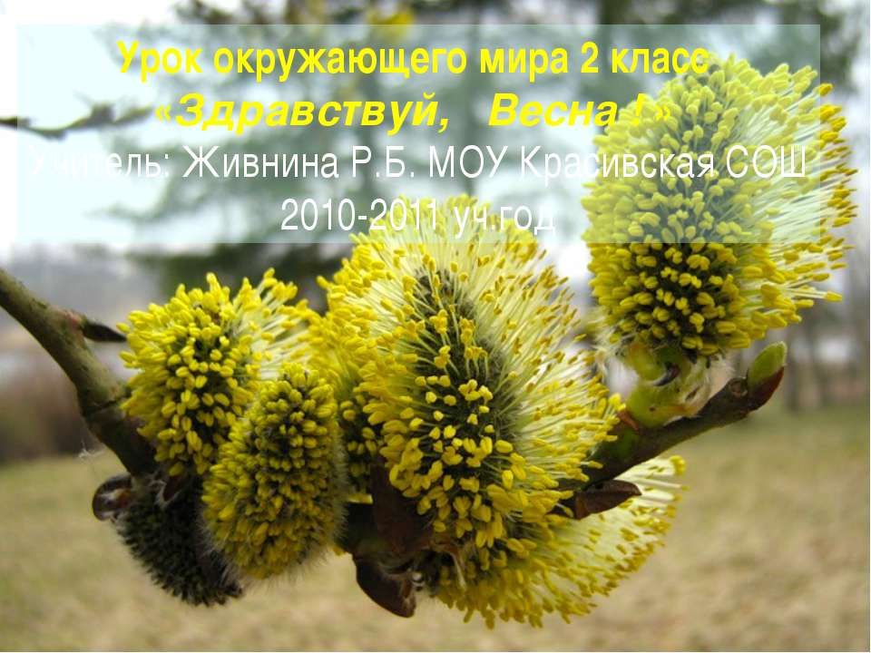 Здравствуй, Весна 2 класс