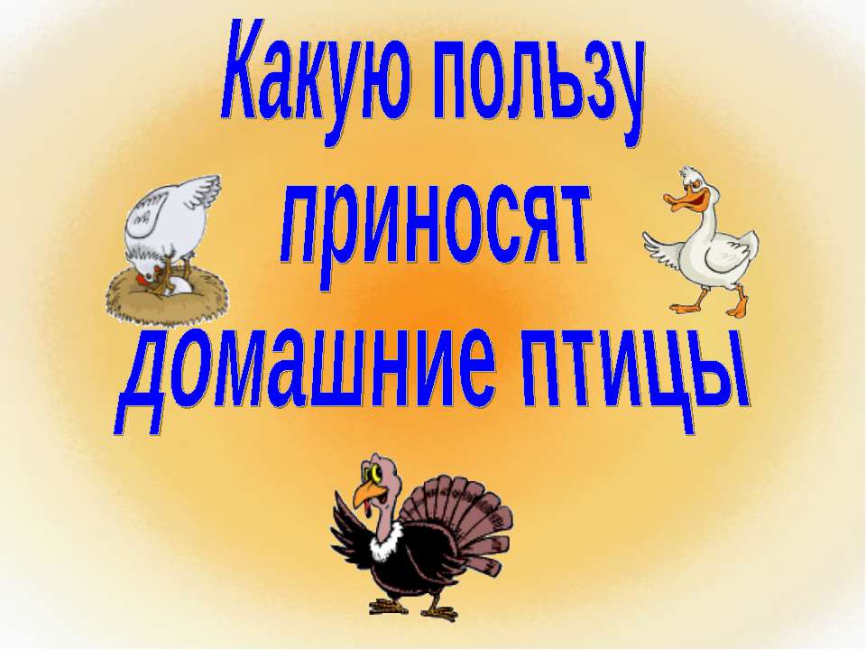 Какую пользу приносят домашние птицы