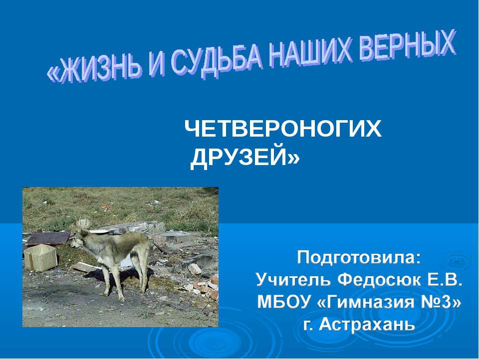 Жизнь четвероногих