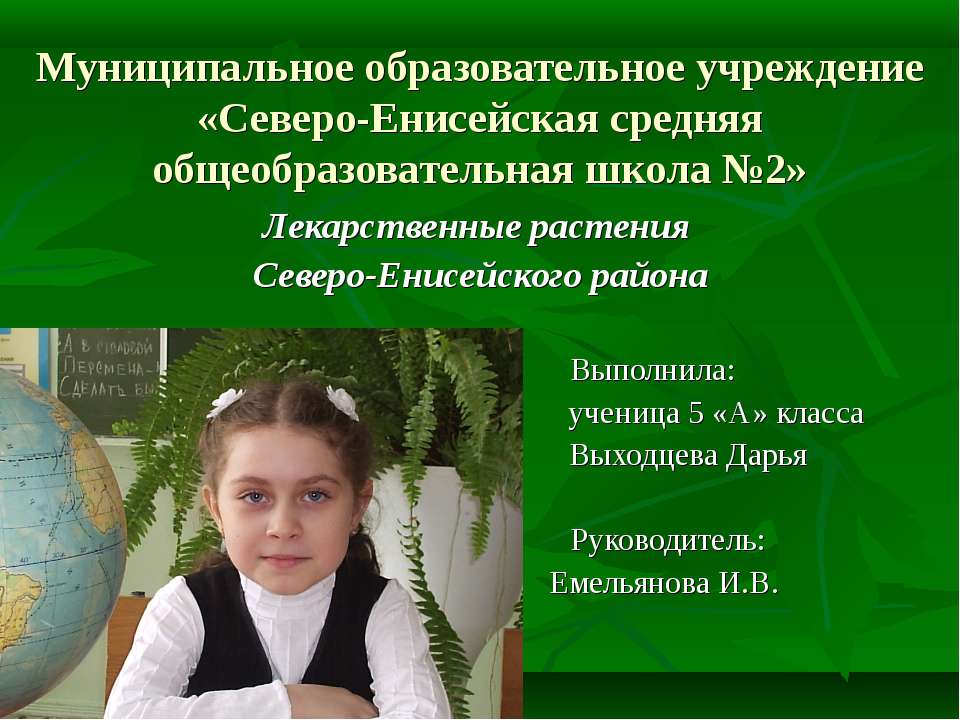 Лекарственные растения Северо-Енисейского района