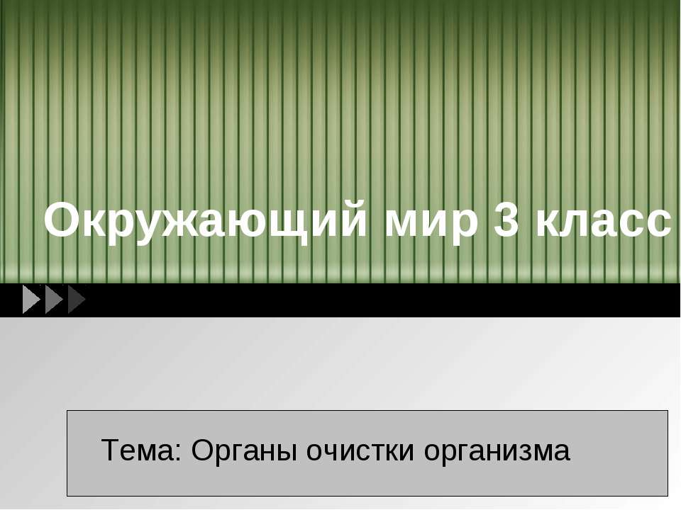 Органы очистки организма