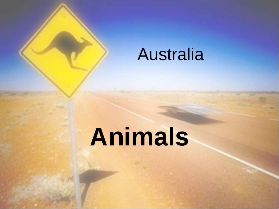 Australia Animals
