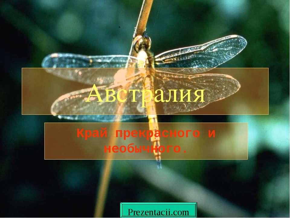 Животные Австралии