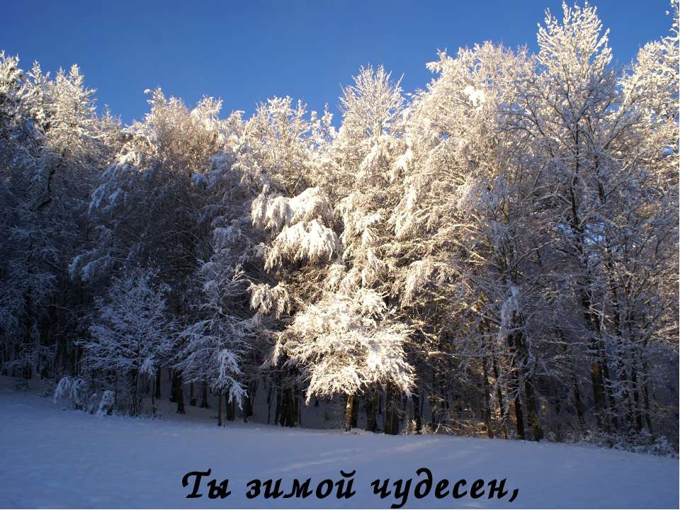 Казачий фольклор 3 класс