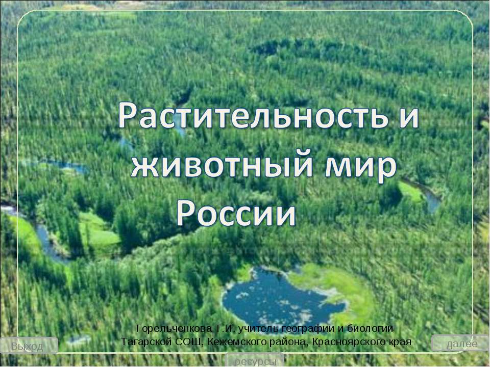 Растительность и животный мир России