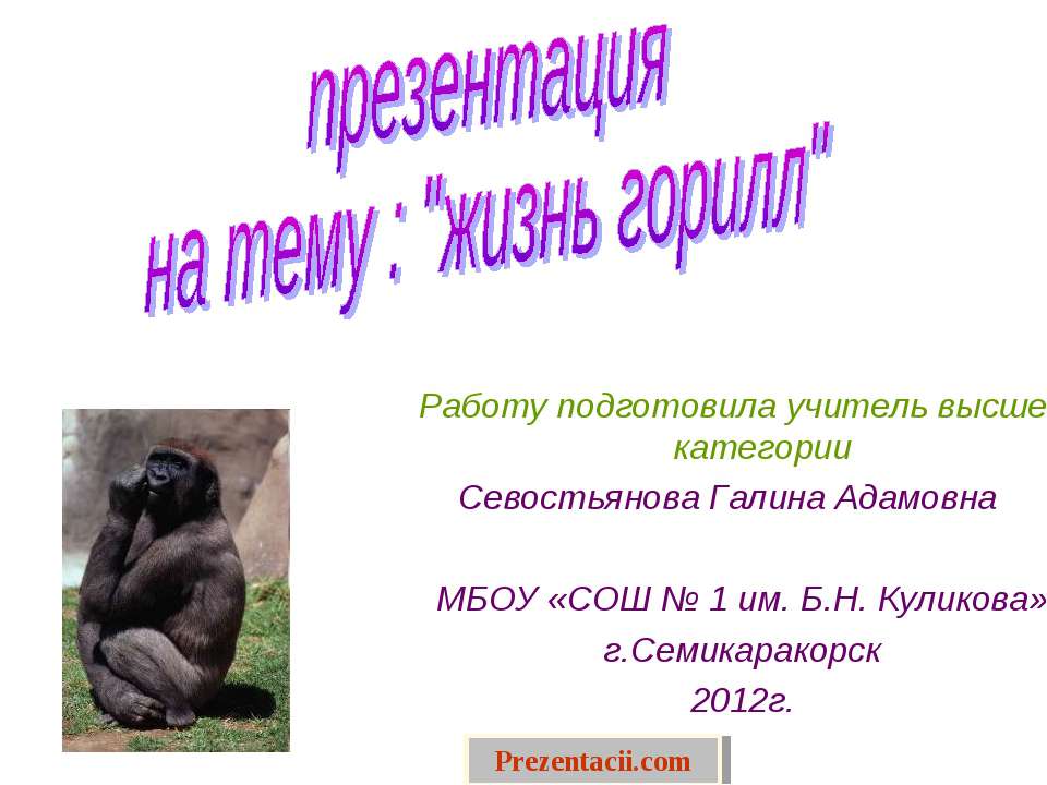 Жизнь горилл