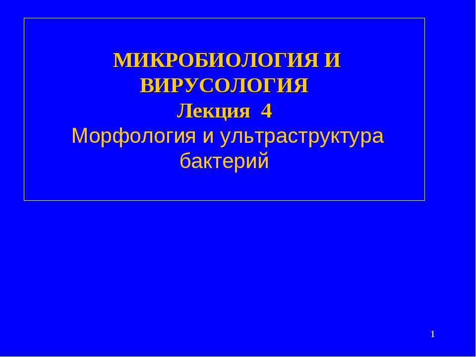 Морфология и ультраструктура бактерий