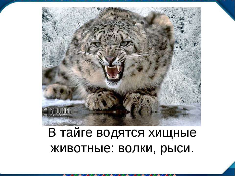 Зрительный диктант13