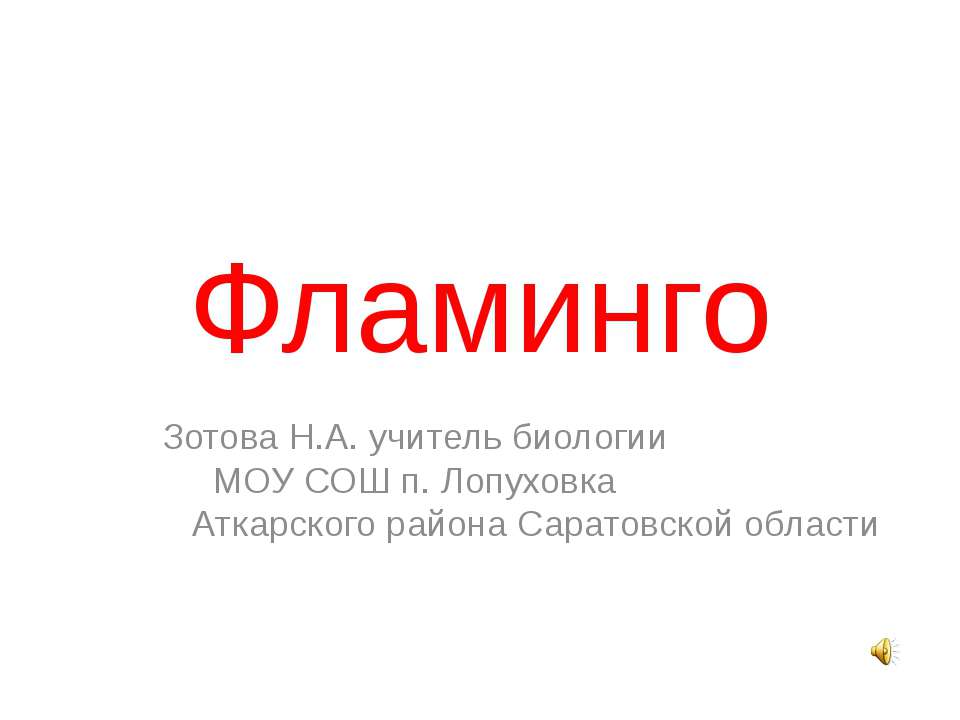 Фламинго