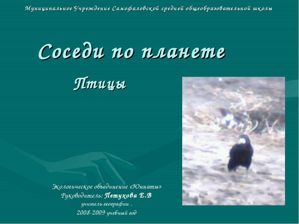Соседи по планете Птицы