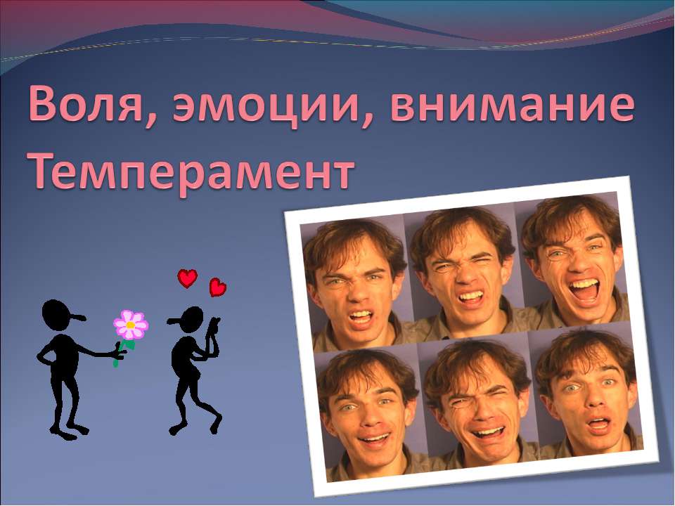Воля, эмоции, внимание Темперамент