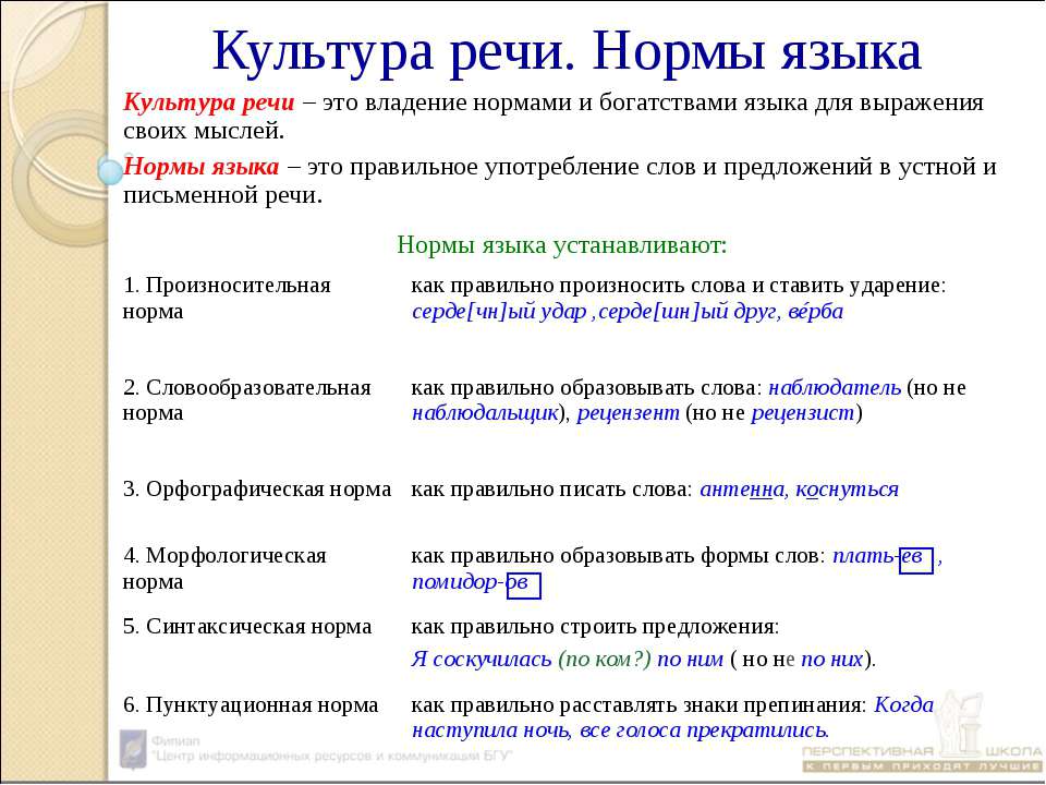 Культура речи. Нормы языка