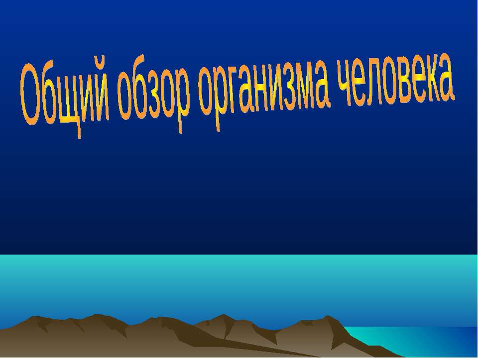 Общий обзор организма человека
