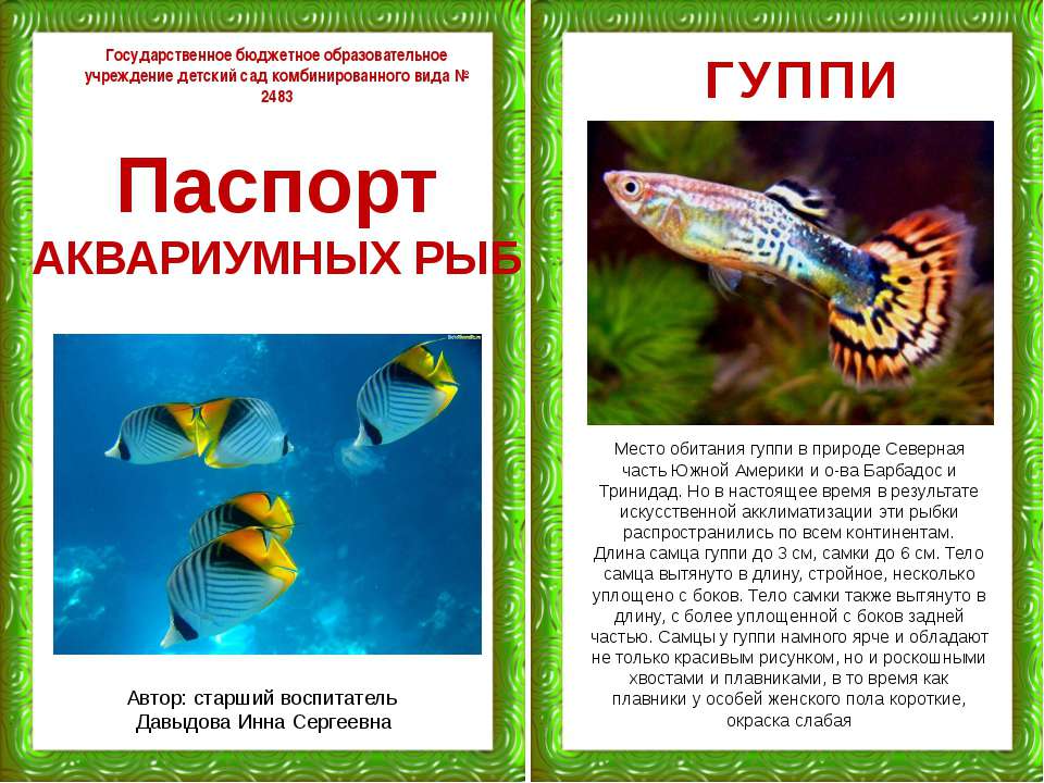 Паспорт аквариумных рыб