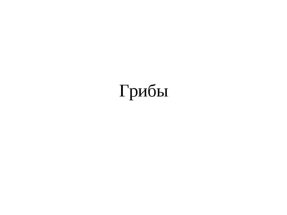 Грибы