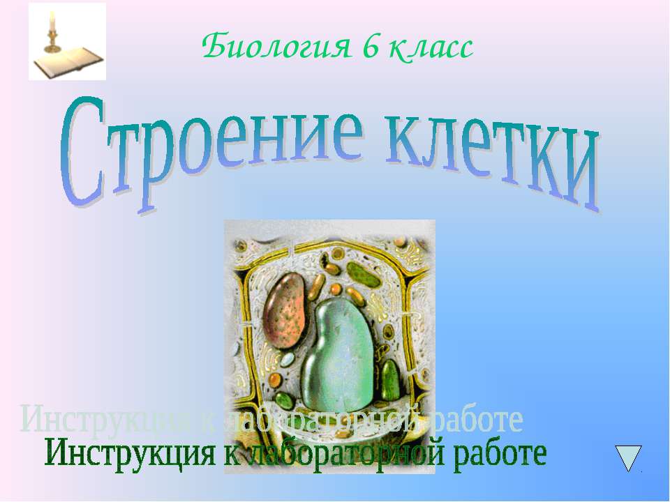 Строение клетки 6 класс