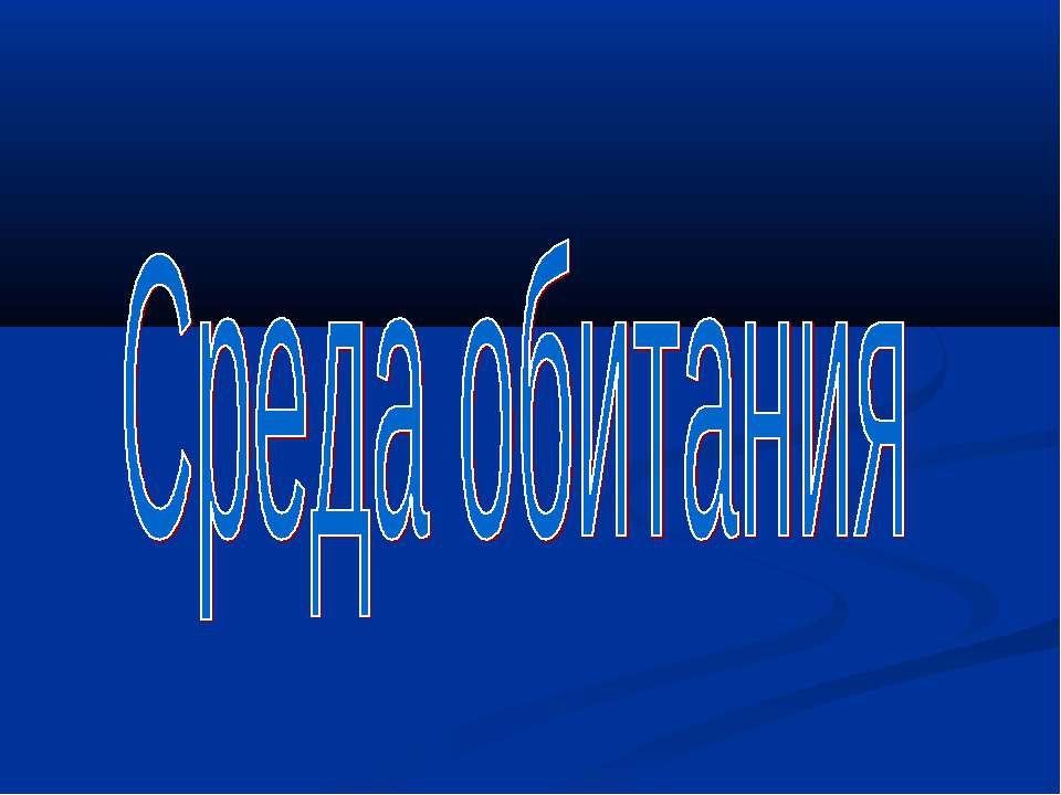 Среда обитания