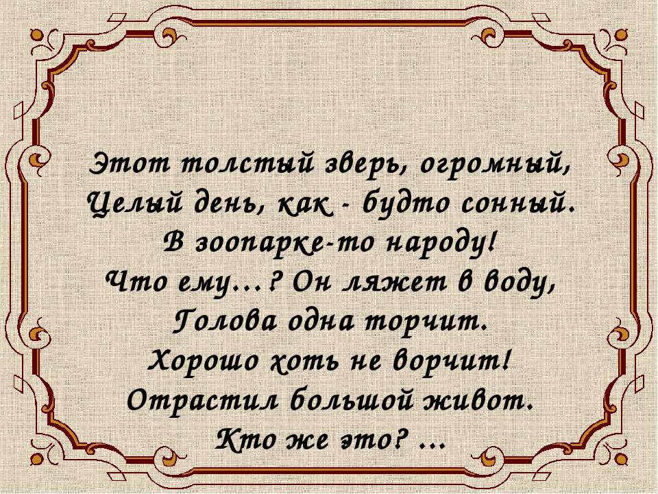 Бегемот