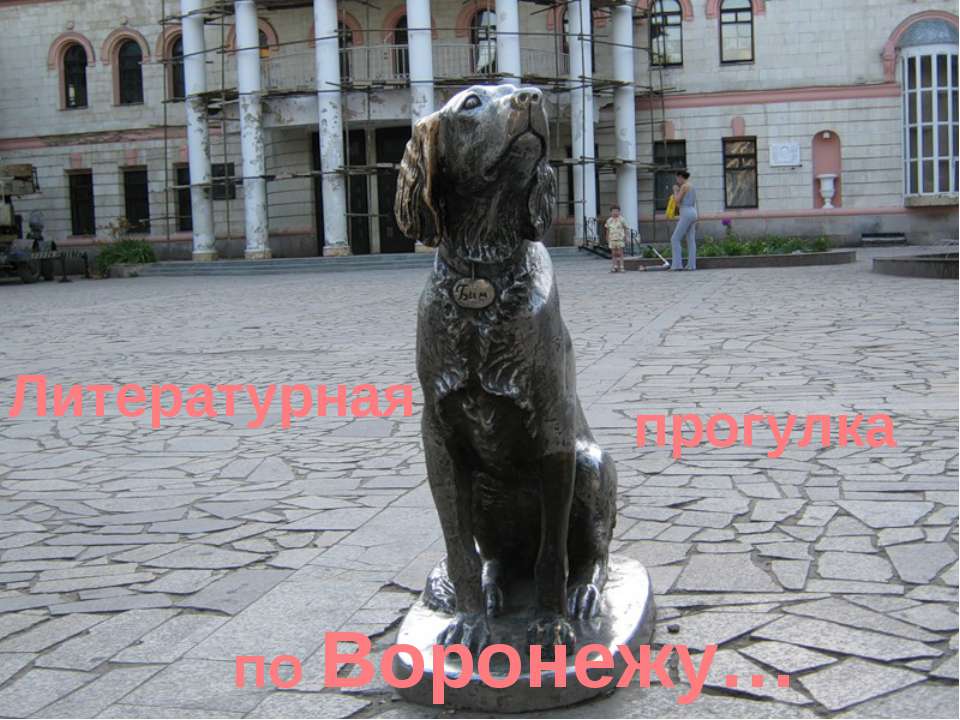 Литературная прогулка по Воронежу