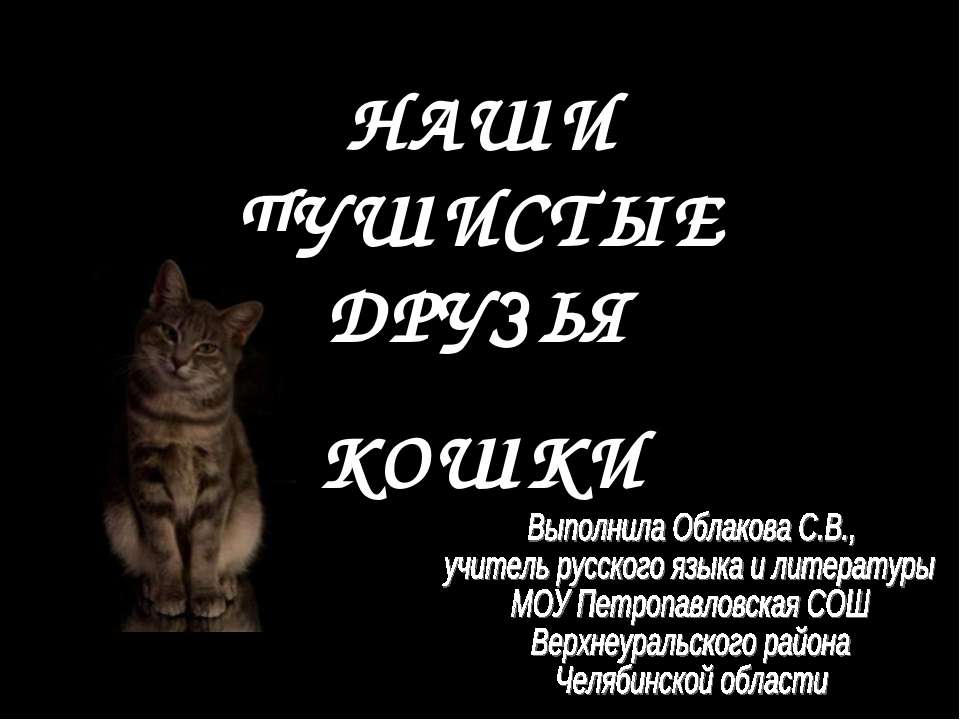 Наши пушистые друзья. Кошки