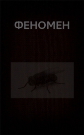 Феномен (СИ)