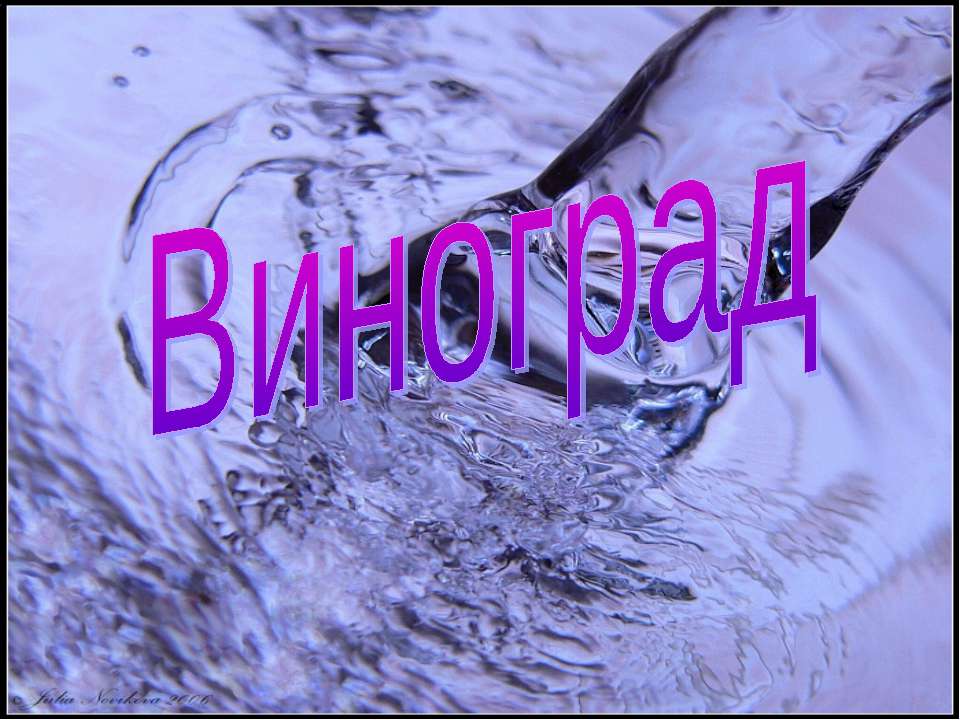 Виноград