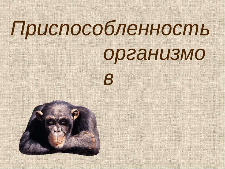 Приспособленность организмов