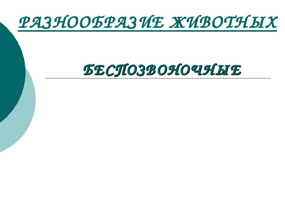 Разнообразие животных Беспозвоночные