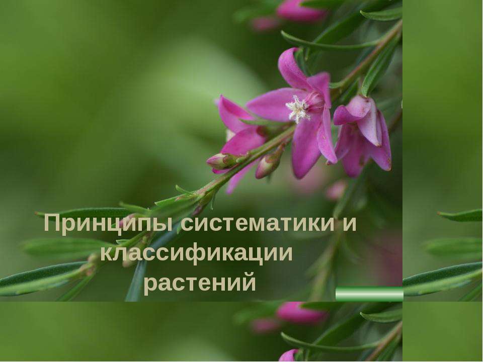 Принципы систематики и классификации растений